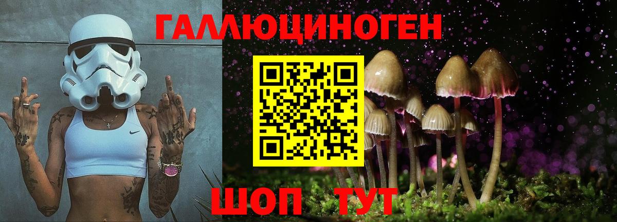 Псилоцибиновые грибы прущие грибы Уссурийск