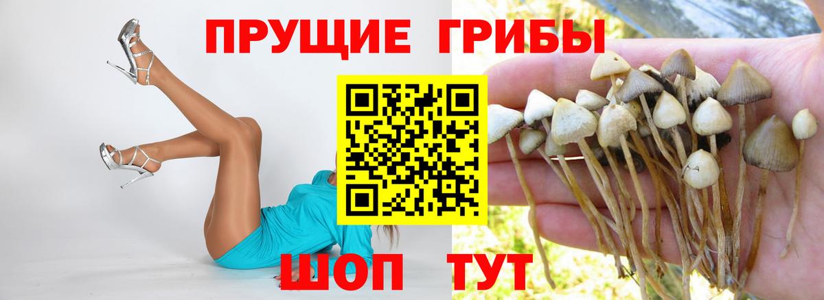 Галлюциногенные грибы Psilocybine cubensis  Галлюциногенные грибы мухоморы  Уссурийск  Вход с VPN 